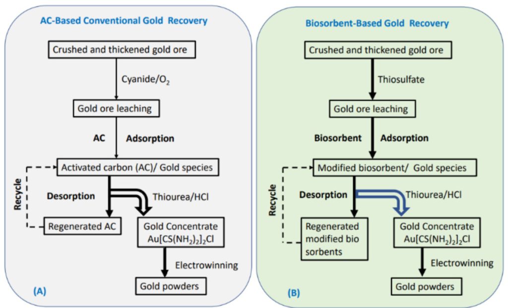 Cyanidation process (CIL/CIP)